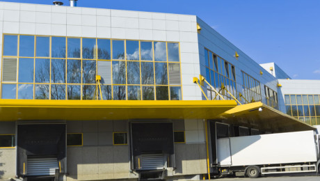 Wholesale & Distribution
